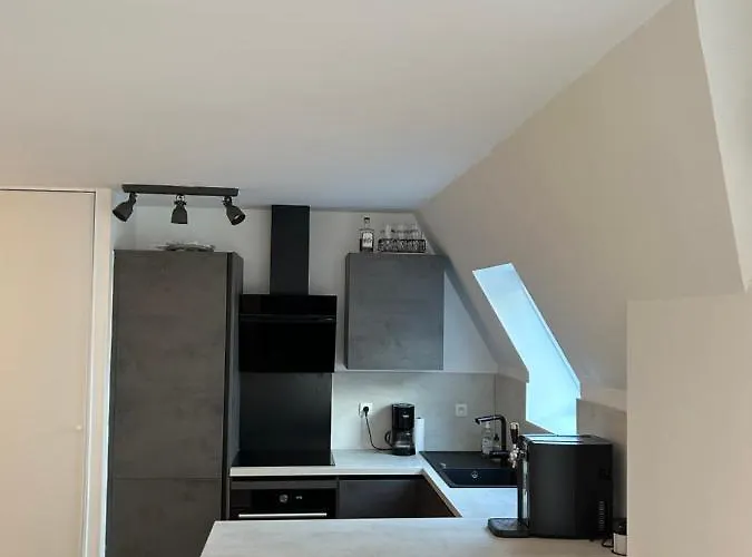 Le P'tit Cosy Apartment *